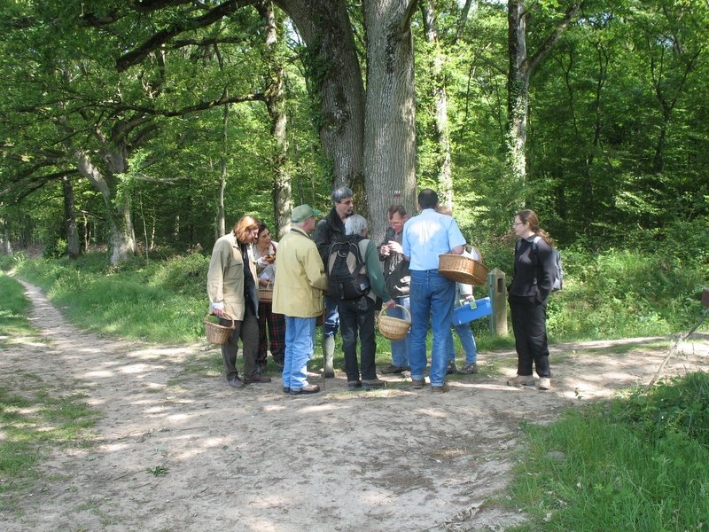 2006 myco ANY CERF 3.06.06 013